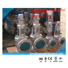 Stainless Steel Ss304 Open Bonnet Pressure Safety Valve